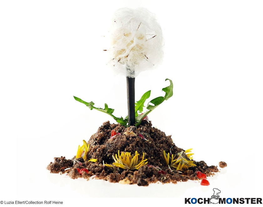 Pusteblume