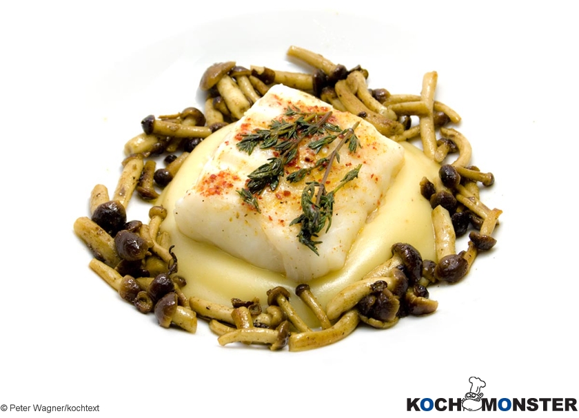 Skrei „Finkenwerder Art“ mit Samthauben und Kerbelwurzel
Foto (c) Peter Wagner/kochtext
(stark reduzierte Bildqualität) Skrei „Finkenwerder Art“ mit Samthauben und Kerbelwurzel