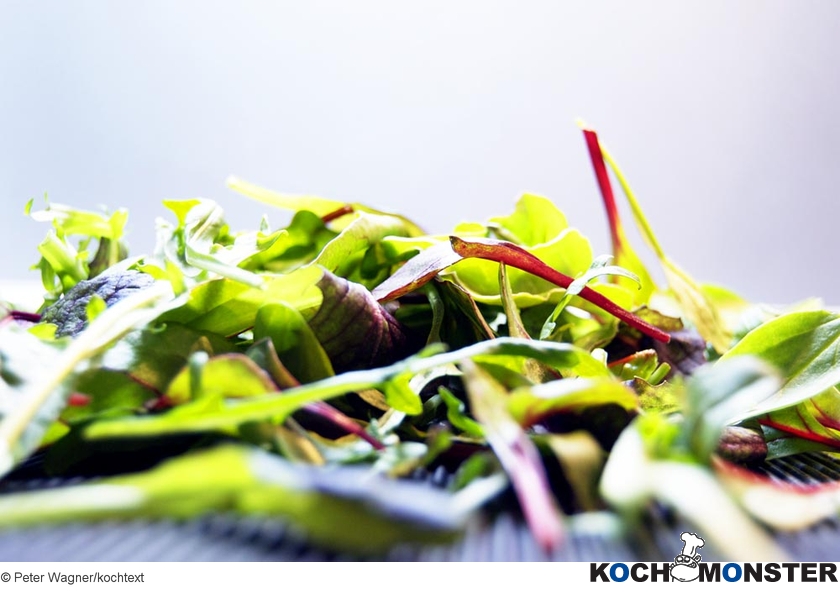 Blattsalate mit Holunder-Walnuss-Vinaigrette
Foto (c) Peter Wagner/kochtext
(stark reduzierte Bildqualität) Blattsalate mit Holunder-Walnuss-Vinaigrette