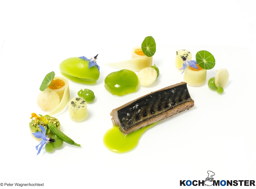 Makrele Soja-mariniert & geflämmt – Gurke – Apfel – Maränenkaviar
Foto (c) Peter Wagner/kochtext
(stark reduzierte Bildqualität) Makrele Soja-mariniert & geflämmt – Gurke – Apfel – Maränenkaviar